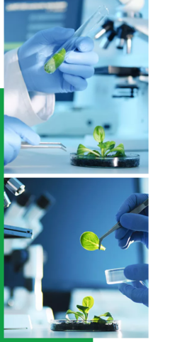 創(chuàng)新驅動，智領未來——我們的企業(yè)簡介