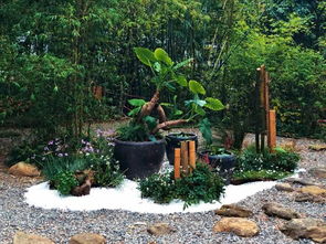 轉型的十字路口 園林綠化行業的挑戰與未來路徑