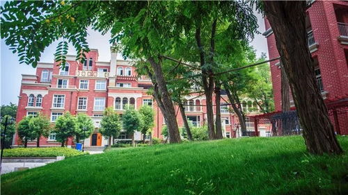 喜訊 | 致遠·翡翠園榮獲山東省園林綠化優質工程，匠心筑就綠色生活